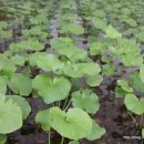 박정원농장 이미지