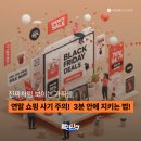 [보안뉴스] 진짜처럼 보이는 가짜몰, 3분 안에 거르는 법