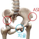 힐유필라테스