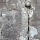 극락정사 아미타여래회도 이미지