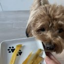 몽이1푸드 이미지