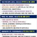 신흥로지선 이미지