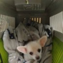 남현파출소 이미지