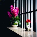 행정사사무소 시민 이미지