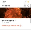 동호몽 이미지
