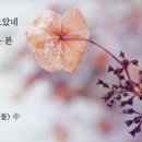 고은;꽃 이미지