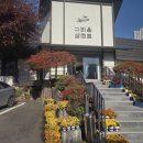 그리운 삼천포 | 풍산역 맛집 일산 그리운삼천포 명장의 맛 후기