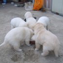 태양농장 이미지