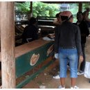 현씨농장 이미지