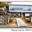 양평아프리키문화예술박물관 | 세미원 여행 양평 가볼 만한 곳, 연꽃과 수련이 가득한 정원에서 즐기는 문화제와 주차·입장료 안내