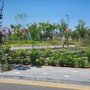 세하부동산중개사무소 이미지