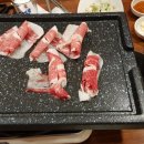 초록애보성녹돈