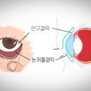 오르소한의원 이미지