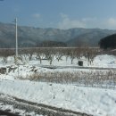 샹그릴라 이미지