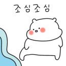 아이보트투어 이미지