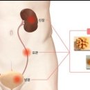덕천요편한비뇨기과의원 네이버블로그