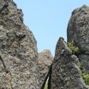 보성 초암산 철쭉 산행
