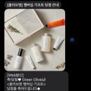 그린올리브 이미지