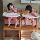 선캐처 잘될고래 | 더바다 푸드캐처 이유식 자기주도식 육아필수템