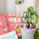 그림책이 궁금해 | (파주 운정꽃집) 그림책꽃놀이 가능한 키즈플라워클래스, 예봄플로라