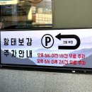 황태보감&왕코다리 이미지