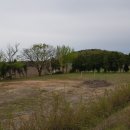 서도초등학교 볼음분교 이미지