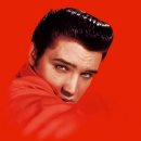 Elvis Presley - A Little Less Conversation (JXL) 이미지