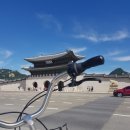 버디버디팜 | 170812 희귀버디 경복궁버디후기