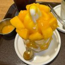 중앙로79번길 | 믿고 먹는 아이스크림 말차아이스크림라떼도 맛있네 디블루메 내돈내산 솔직후기