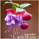 수정중앙 이미지