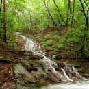 태풍 나크리도 두렵지않았던 계룡산 여름산행 이미지