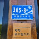 평창쁘띠빌리지 이미지