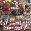 남해-60 | 남해 독일마을 소품샵 커티지샵 방문 후기