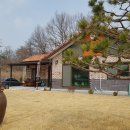 여주-0404 Daum카페
