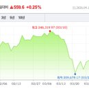 849019 bnt뉴스