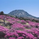 신비의 섬 제주 - 노중하 수필집 이미지