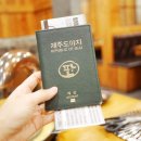 이바돔제주도야지 이미지