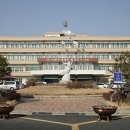 행정용 20 이미지