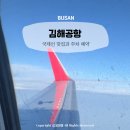 뜰에봄약국 | 김해공항 국제선 맛집과 주차 예약, 모바일체크인 시간
