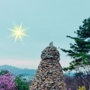금능초등학교 이미지