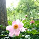 &#34;이재명 못 잡아먹어서 안달 난 이유가 이거였던 거예요&#34; &#34;헐..&#34; 김문수 결국 댓글조작 터졌다.. 생각보다 심각한 상황에 국민의힘 초 이미지