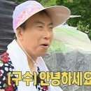 조치원상회 이미지