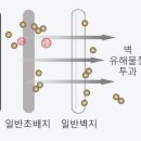 도배천국