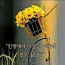 청상 과부 목로주 이미지
