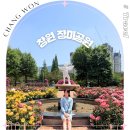 애기등 공원 | 창원 장미공원 5월 경남 가볼만한곳 꽃구경 나들이 추천