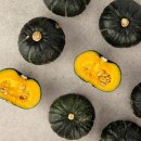석희농장 쇼핑하우