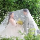 스튜디오어디 | 웨딩사진 보정 어디서 하지? 민트필름스튜디오 솔직 후기 보정 전후 비교