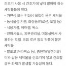 세탁건조기에 넣으면 안되는 것 이미지