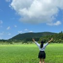 [국내여행]엄빠보다 더 많이 보는 회사친구들과 여름제주