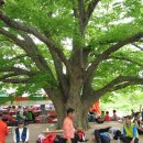 여수돌섬 이미지